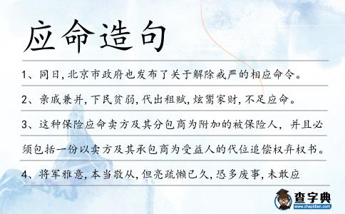 應命造句