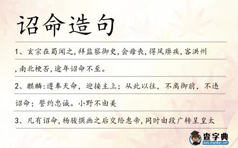 詔命造句