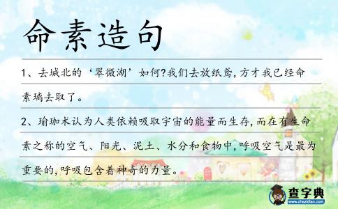 命素造句