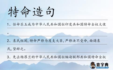 特命造句