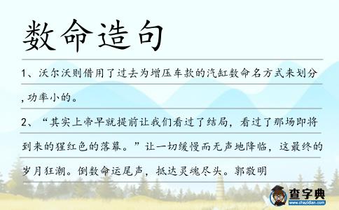 數命造句