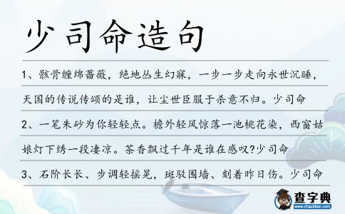 少司命造句