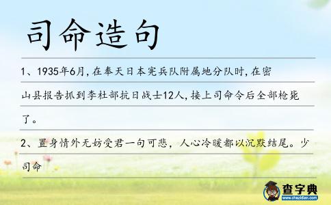 司命造句