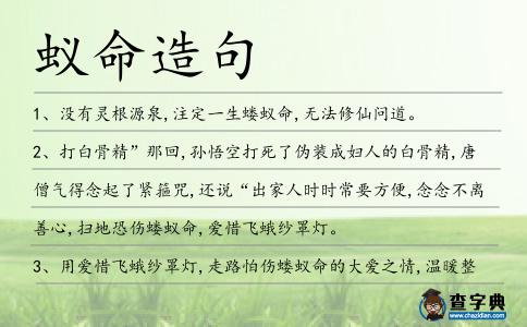 蟻命造句