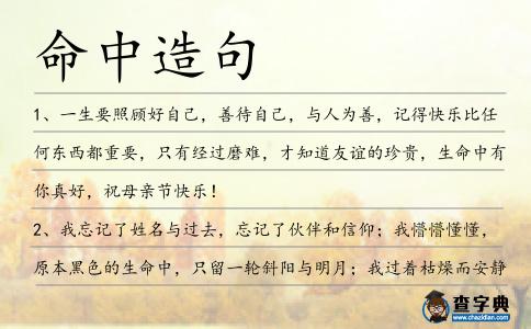 命中造句
