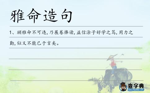 雅命造句