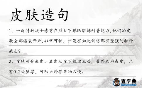 皮膚造句