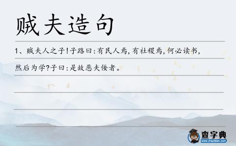 賊夫造句