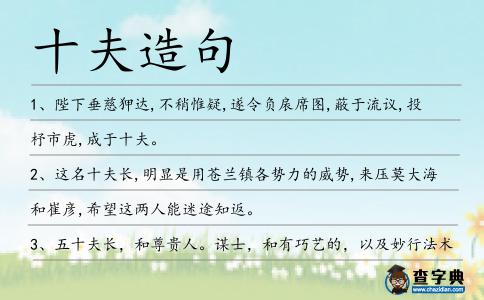 十夫造句