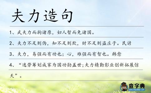 夫力造句