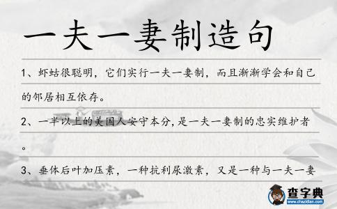一夫一妻制造句
