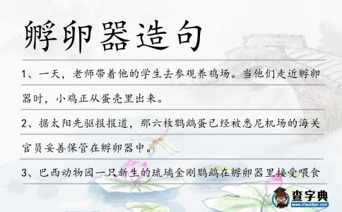 孵卵器造句