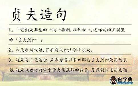 貞夫造句
