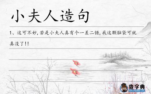 小夫人造句