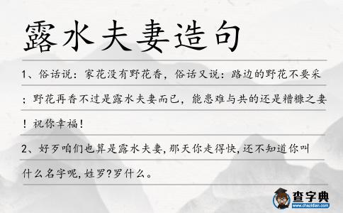 露水夫妻造句