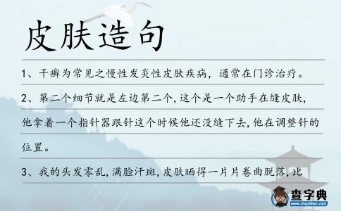 皮膚造句