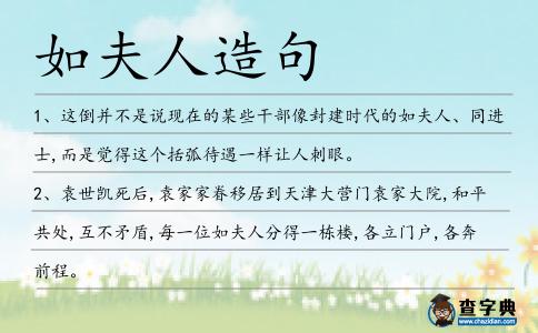 如夫人造句