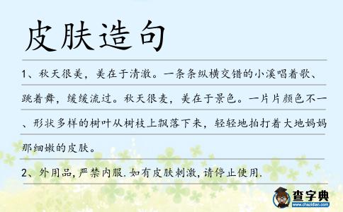 皮膚造句