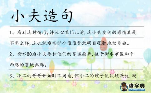 小夫造句