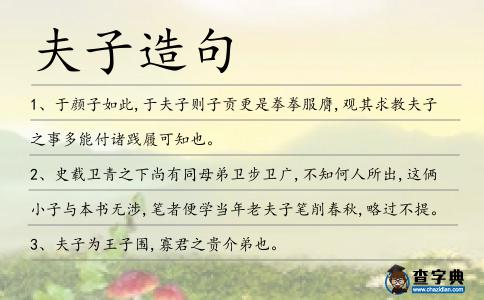 夫子造句