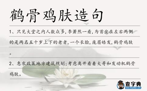 鶴骨雞膚造句