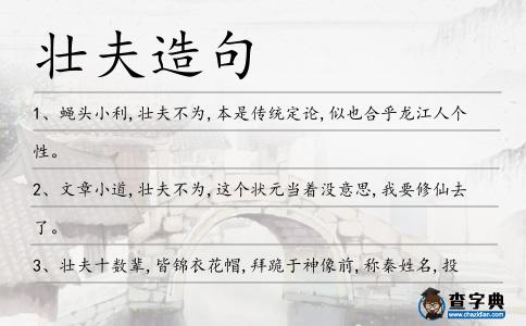 壯夫造句