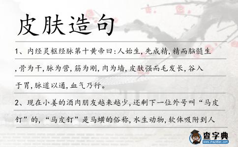 皮膚造句