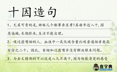十因造句