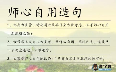 師心自用造句