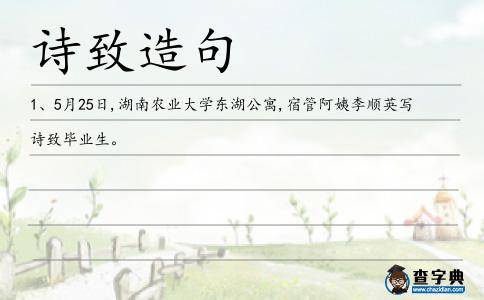 詩致造句