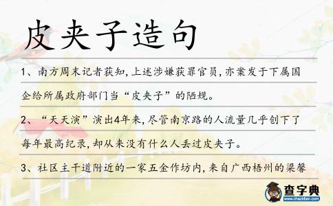 皮夾子造句