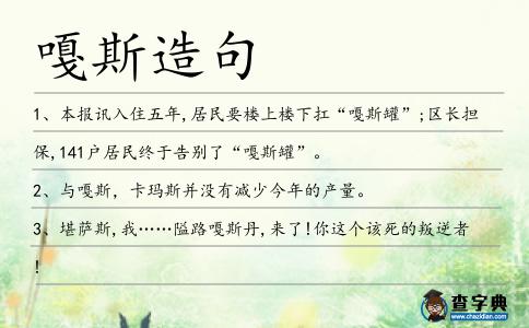 嘎斯造句