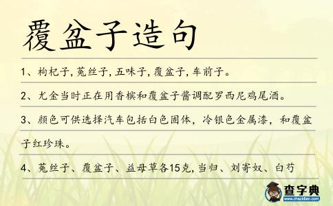 覆盆子造句