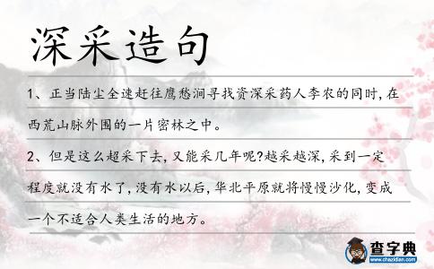 深采造句