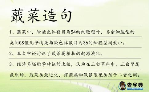蕺菜造句