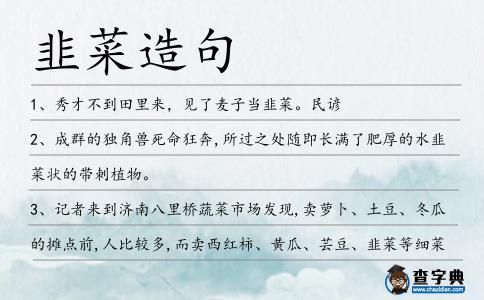 韭菜造句