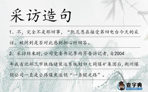 采訪造句
