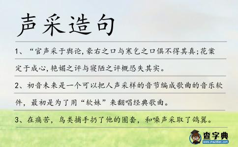 聲采造句