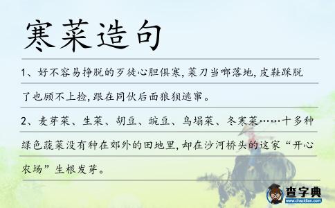 寒菜造句