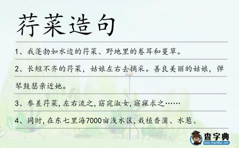 荇菜造句