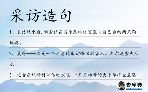 采訪造句