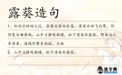 露葵造句