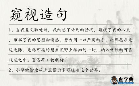 窺視造句