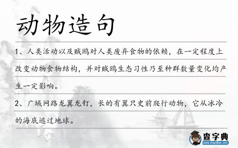 動物造句