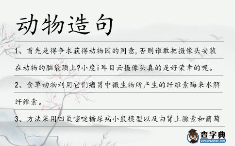 動物造句