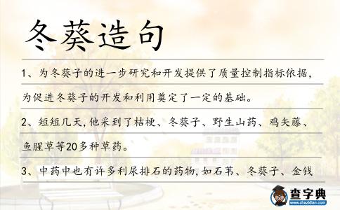 冬葵造句