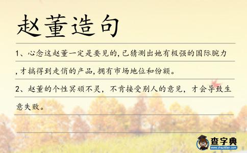 趙董造句