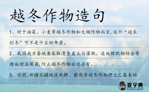 越冬作物造句