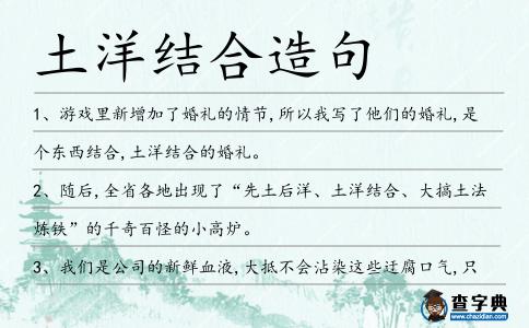 土洋結合造句
