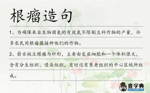 根瘤造句
